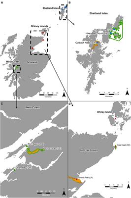 Genetic Connectivity and Diversity of a Protected, Habitat-Forming Species: Evidence Demonstrating the Need for Wider Environmental Protection and Integration of the Marine Protected Area Network